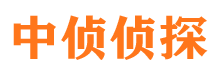 七台河侦探公司